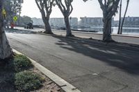 Los Angeles City Road with Water and Woody Plants