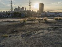 Los Angeles City Skyline: Evening Contrails in the Clear Sky