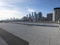 Los Angeles City Skyline: A Breathtaking View