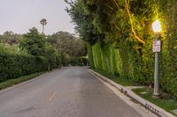 a empty city street at dusk with lots of trees lining the road and a bright street light