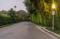 a empty city street at dusk with lots of trees lining the road and a bright street light