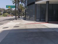 a red fire hydrant is on the corner of a street with some palm trees