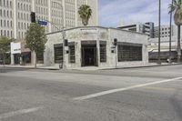 Los Angeles Cityscape: Architecture and Streets