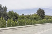 Los Angeles Cityscape in California: A Road View