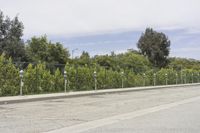 Los Angeles Cityscape in California: A Road View