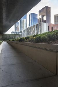 this is a walkway in front of tall buildings with trees on it and bushes surrounding