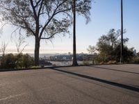 Los Angeles Cityscape: Clear Skies and Urban Roads