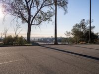 Los Angeles Cityscape: Clear Skies and Urban Roads
