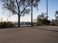 Los Angeles Cityscape: Clear Skies and Urban Roads
