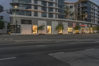 a stop sign is shown in front of a store front at dusk and it has palm trees outside