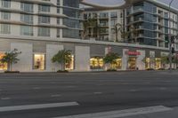 a stop sign is shown in front of a store front at dusk and it has palm trees outside