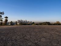 Los Angeles Cityscape: A Dawn Walking on Asphalt