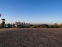 Los Angeles Cityscape: A Dawn Walking on Asphalt