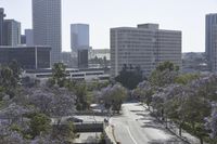 Los Angeles Cityscape: High-Rise Buildings and Urban Skyline