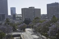 Los Angeles Cityscape: High-Rise Buildings and Urban Skyline