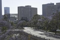 Los Angeles Cityscape: High-Rise Buildings and Urban Skyline