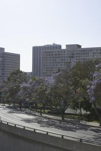 Los Angeles Cityscape: High-Rise Buildings and Urban Skyline