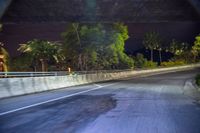 a car on the side of the road with trees in the background at night and a street light at the end