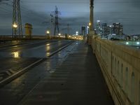 Los Angeles Cityscape at Night with Reflection in the Wet Road