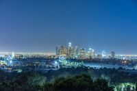 view of the city at night from the top of a hill with a few trees