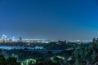 view of the city at night from the top of a hill with a few trees