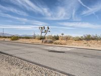 Los Angeles Clear Skies: Road to the Mountains