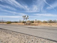 Los Angeles Clear Skies: Road to the Mountains