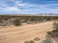 Dirt Roads Under Los Angeles Clear Sky
