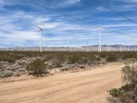 Dirt Roads Under Los Angeles Clear Sky
