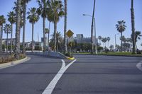 a yellow caution sign is shown on the street near a park and palm trees on a clear, blue sky day