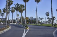 a yellow caution sign is shown on the street near a park and palm trees on a clear, blue sky day