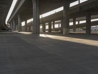 a skateboard sits underneath a freeway bridge and is illuminated by the sun's shadow