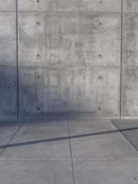 Los Angeles: Concrete City and Urban Space