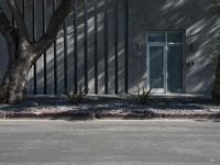 a lone tree next to a building with a fence on top of it in front of the side of the street