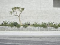 a concrete planter with a tree next to it on a street corner next to a concrete wall