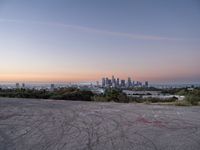 Los Angeles at Dawn: The Asphalt Jungle