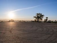 Los Angeles at Dawn: A Skyline of Urban Landmarks