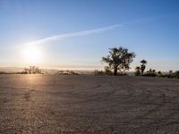 Los Angeles at Dawn: A Skyline of Urban Landmarks