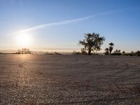 Los Angeles at Dawn: A Skyline of Urban Landmarks