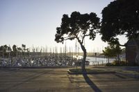 Los Angeles at Dawn: Walkway Along the Ocean