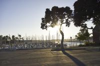 Los Angeles at Dawn: Walkway Along the Ocean