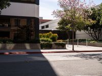 Los Angeles: A Day under Clear Urban Skies