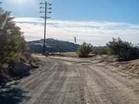 a dirt road going down a hill surrounded by trees and brush with no leaves on the ground