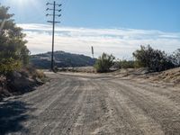 a dirt road going down a hill surrounded by trees and brush with no leaves on the ground