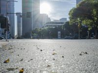 Los Angeles Daytime Cityscape with Clear Sky