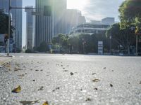 Los Angeles Daytime Cityscape with Clear Sky