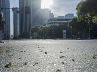 Los Angeles Daytime Cityscape with Clear Sky