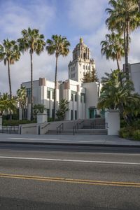 the large building with many palm trees is by the street curb where the parking lot and front entrance are