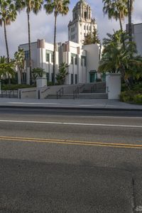 the large building with many palm trees is by the street curb where the parking lot and front entrance are