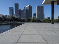 a city view of the buildings in a large urban park with water in front of it